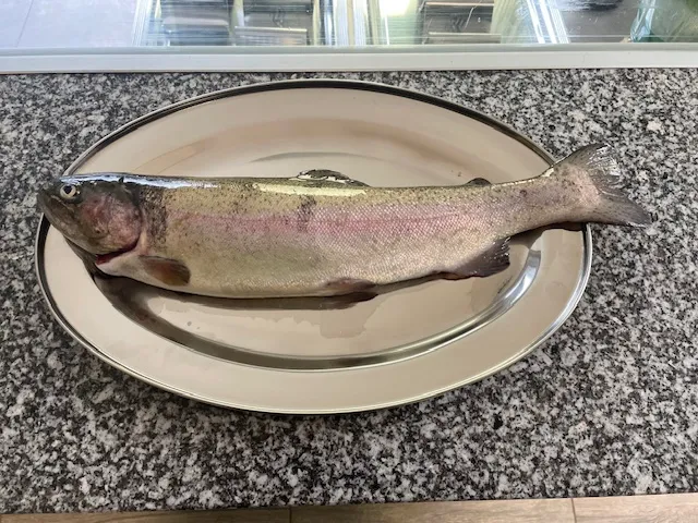 Frischer Fisch aus eigenen Hältern im Fischladen