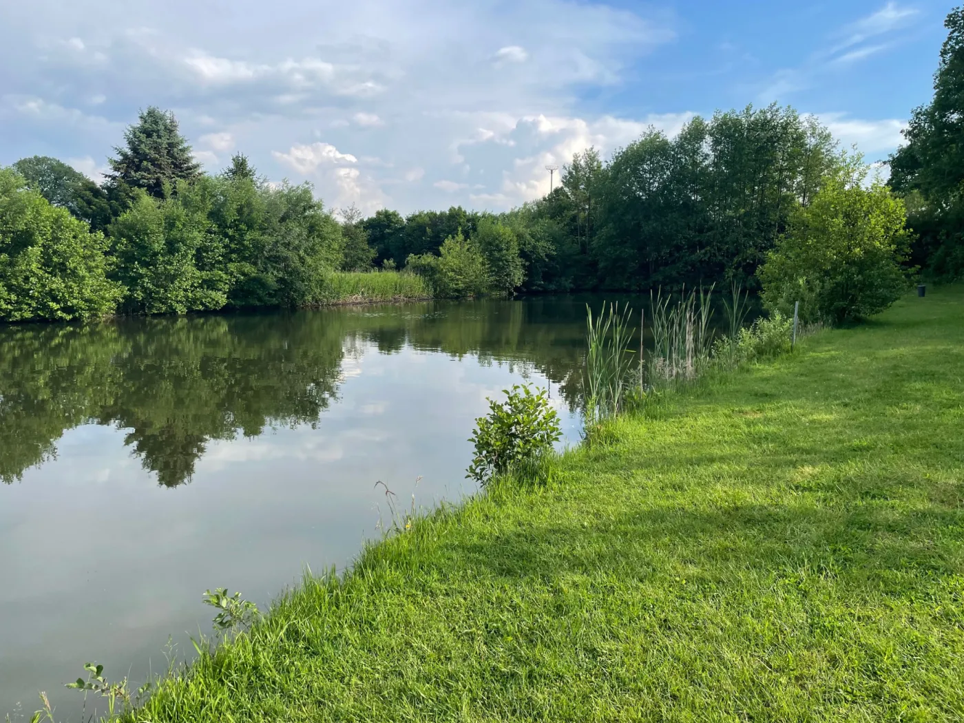 Exotenteich – großer Forellenteich für Großforellen und Exoten